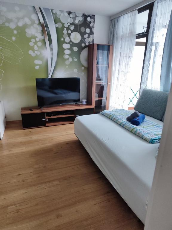 TV a/nebo společenská místnost v ubytování Apartment Fewo Irdning Pichlarn