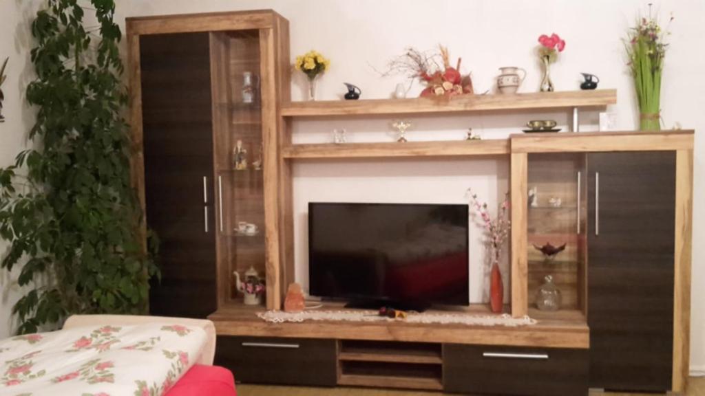 ein Entertainment-Center mit einem TV im Wohnzimmer in der Unterkunft Haus zur Sonne in Flöha