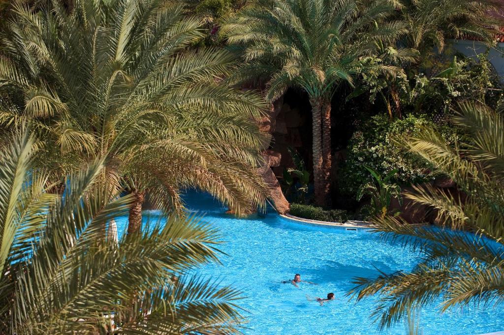 The swimming pool at or close to Baron Palms Adults Friendly Only 16 years plus Boutique Hotel Style