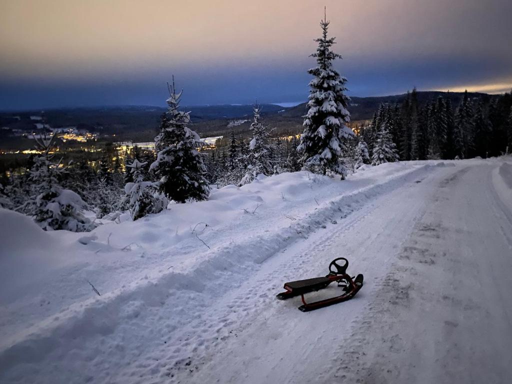 una tabla de snowboard al lado de una carretera cubierta de nieve en Bed and Breakfast Hadeland, en Harestua