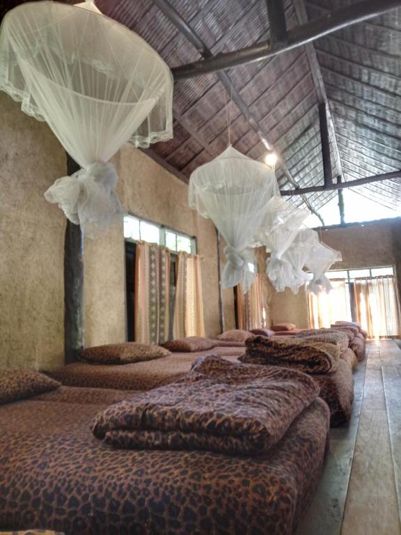um grupo de camas num quarto com cortinas em ห้องนอนรวม em Ban Tham