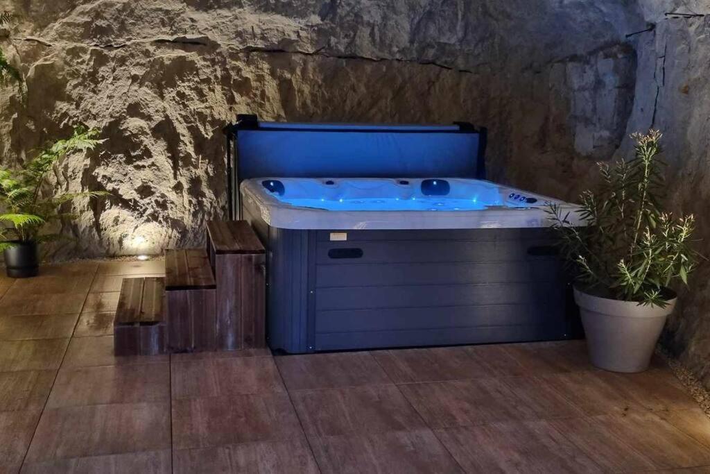 Parnay的住宿－Gîte 21 route de saumur，植物间的一个蓝色的浴缸