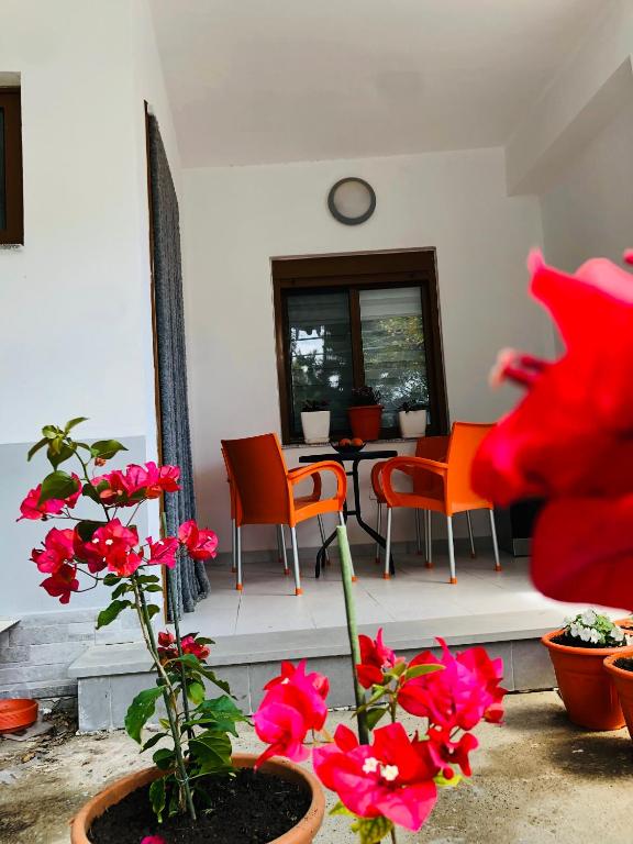 SALA 1 Apartment - Imazhi 8