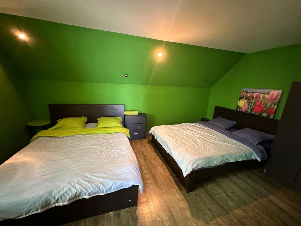 Postel nebo postele na pokoji v ubytování Green Villa Tsaghveri