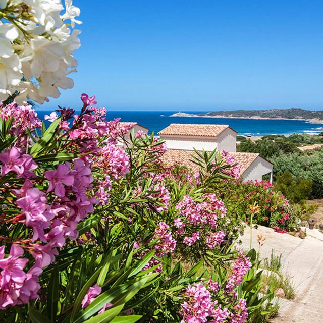 Résidence Castugna - 17