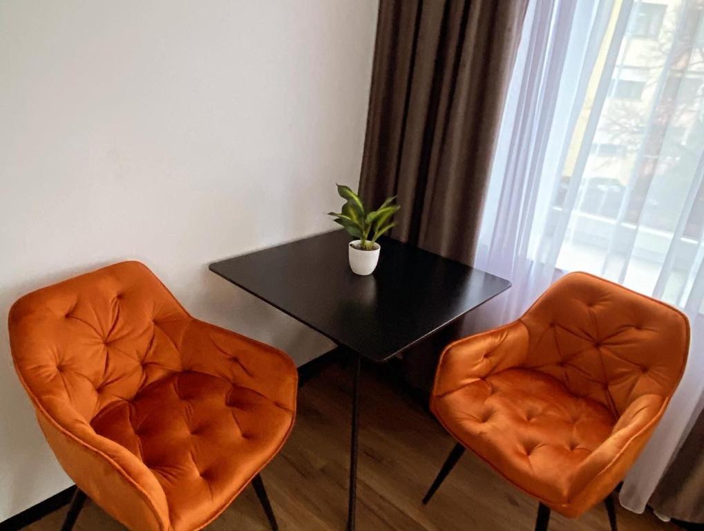 Posezení v ubytování Hotel Elisei