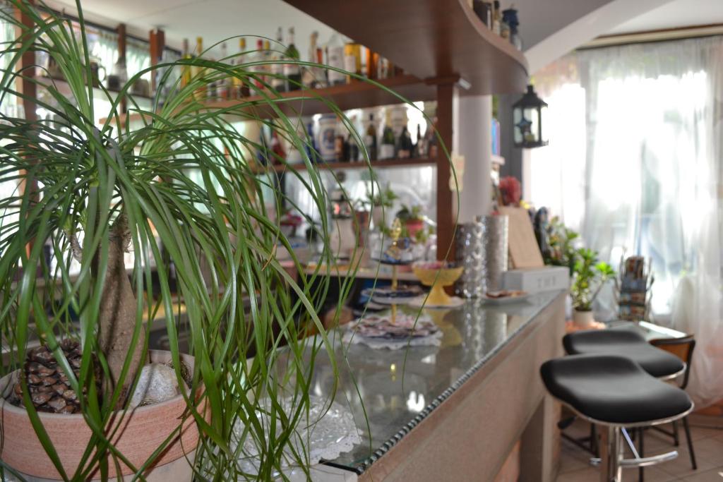 Nápoje v ubytování Hotel Alfredo's