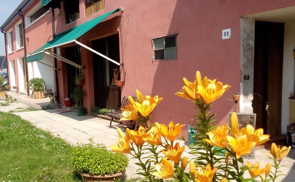 Ecogarden camping with rooms في Zelarino: حفنة من الزهور الصفراء أمام المبنى