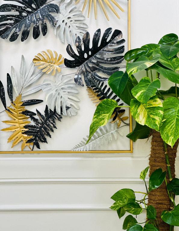 Rosa Italia Hotel Roma - Resim 10