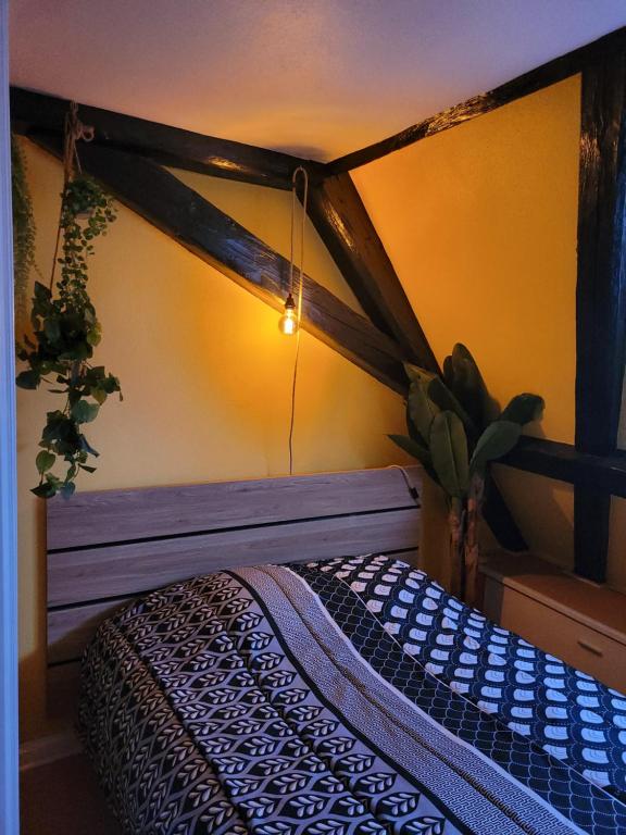 - un lit à baldaquin dans l'établissement Appartement Atypique, à Soultz-Haut-Rhin