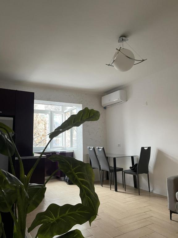 Cozy Apartment at Tirana's Center