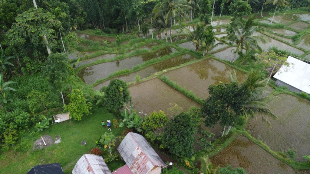 Tetebatu Sunrise Homestay - 16