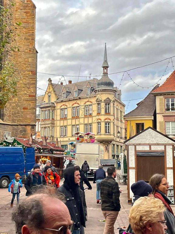 Place des Dominicains – photo 48