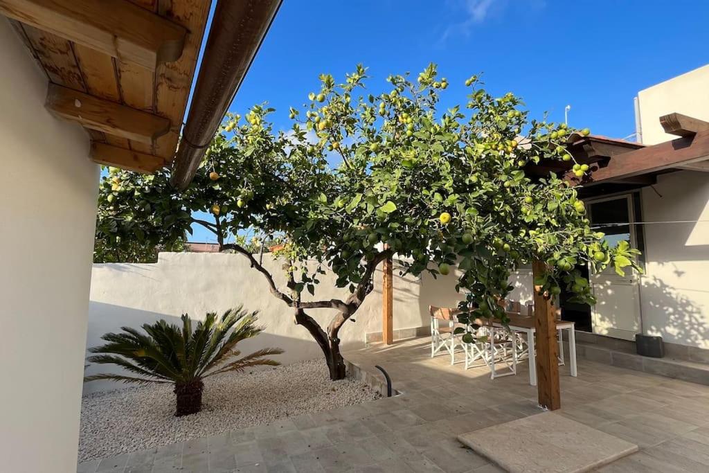 einen Innenhof mit einem Zitronenbaum, einem Tisch und Stühlen in der Unterkunft Casa indipendente in Tonnara di Bonagia