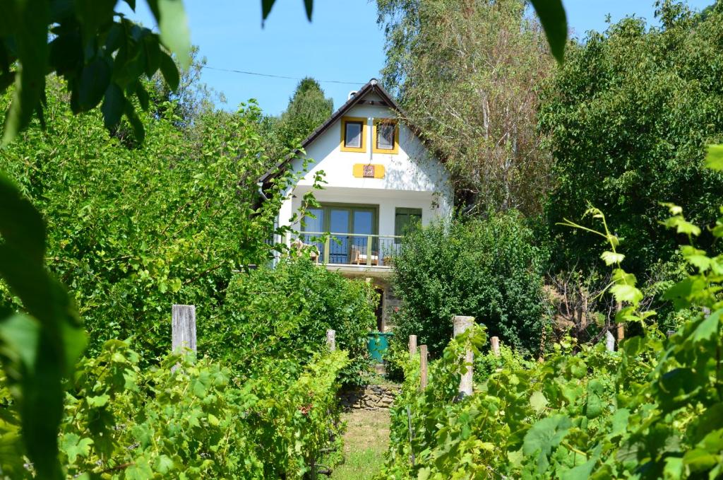 Zahrada ubytování Grand Cru 3. Vendégház