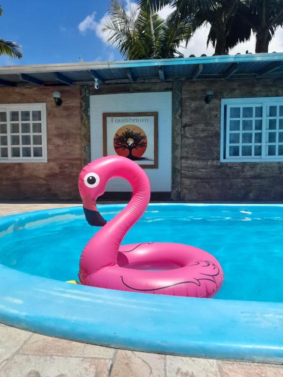 a pink flamingo float in a swimming pool at Equilibrium Pousada Familiar (orquídeas) in Torres