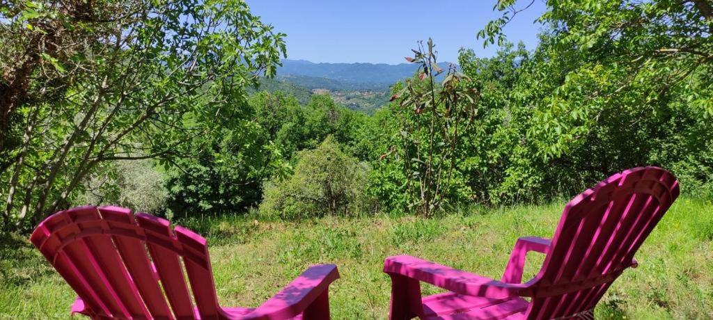 zwei rote Stühle im Gras auf einem Feld in der Unterkunft B&B La Risorgiva in Fivizzano