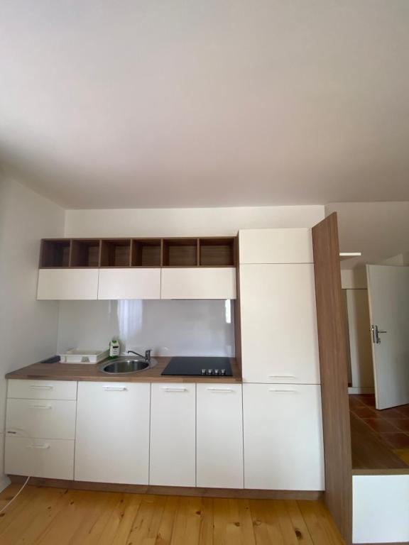 Kuchyň nebo kuchyňský kout v ubytování MR Apartmani Banja Vrujci