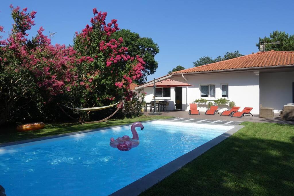 een zwembad met twee zwanen in een tuin bij Villa au bord de la mer, piscine chauffée 9x4 in Labenne
