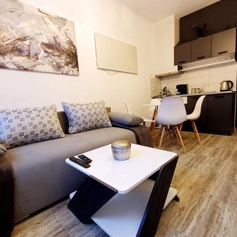 MM SKI APARTMENT