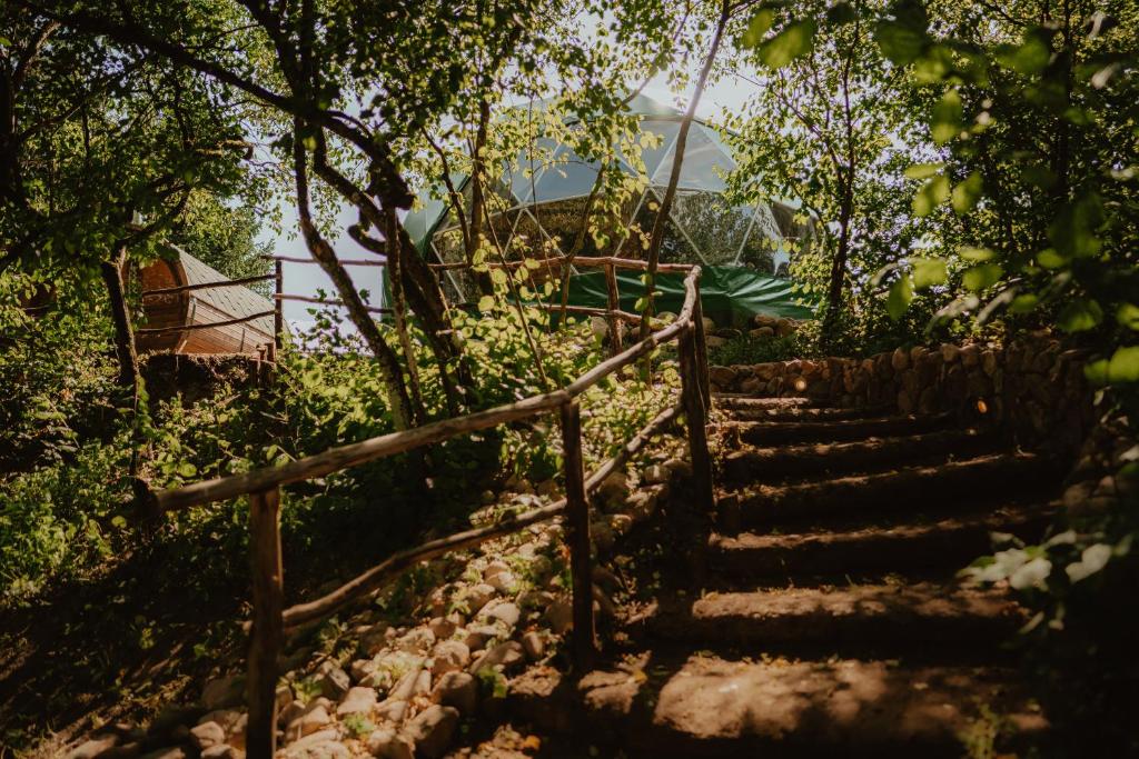 eine Treppe in einem Garten mit Bäumen in der Unterkunft Czarna Hańcza Glamping in Głęboki Bród