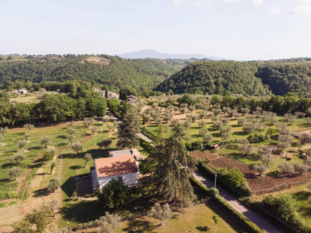 Príroda v okolí vily