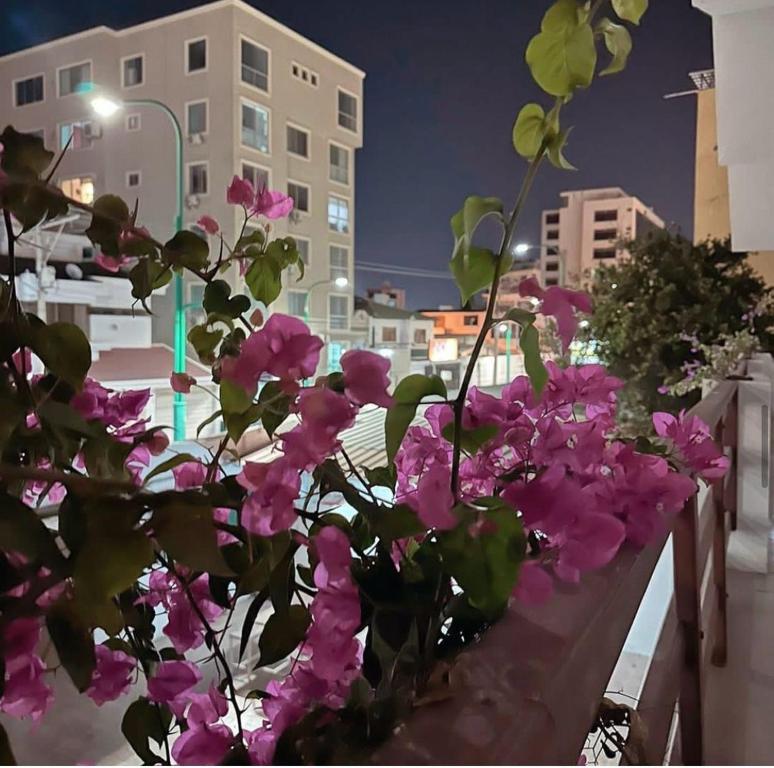 Zahrada ubytování Veranera Hostal