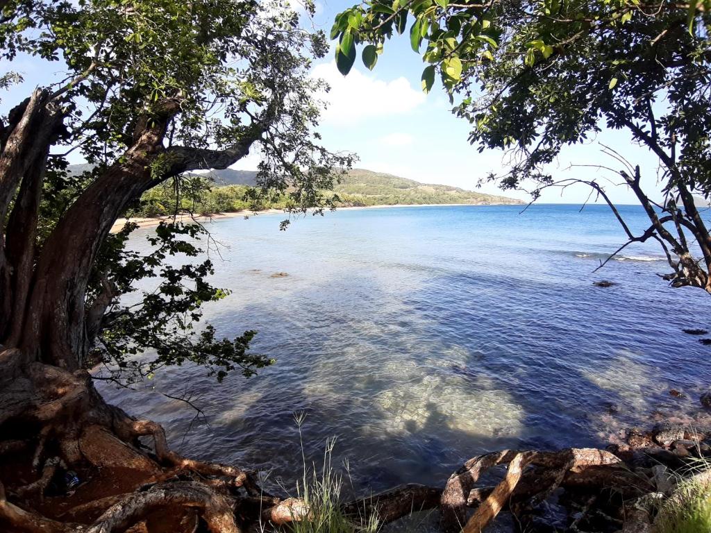 Photo de la galerie de l'établissement Pipirite Chantant - Studios Vue Mer, à Sainte-Rose