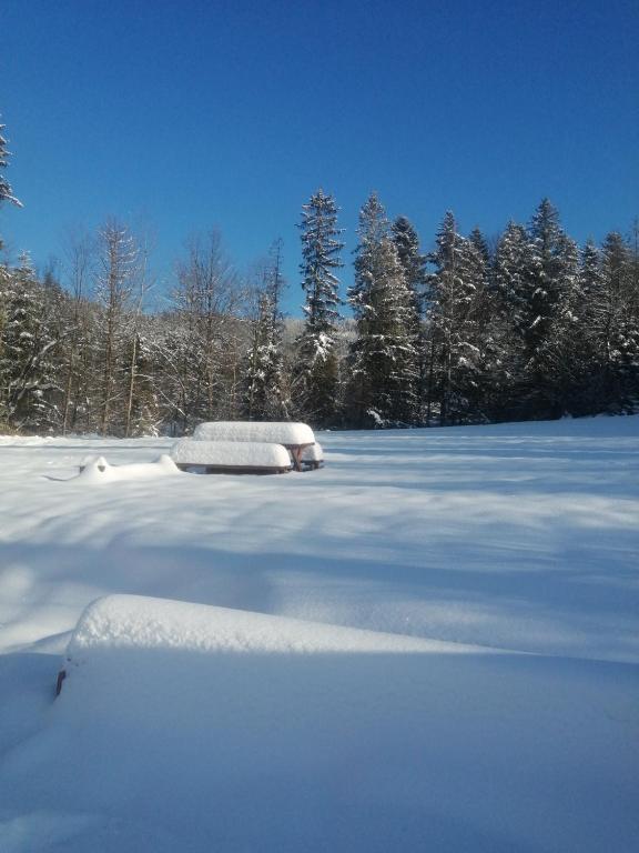 a field covered in snow with trees in the background at Noclegi Na Smaguli in Korbielów