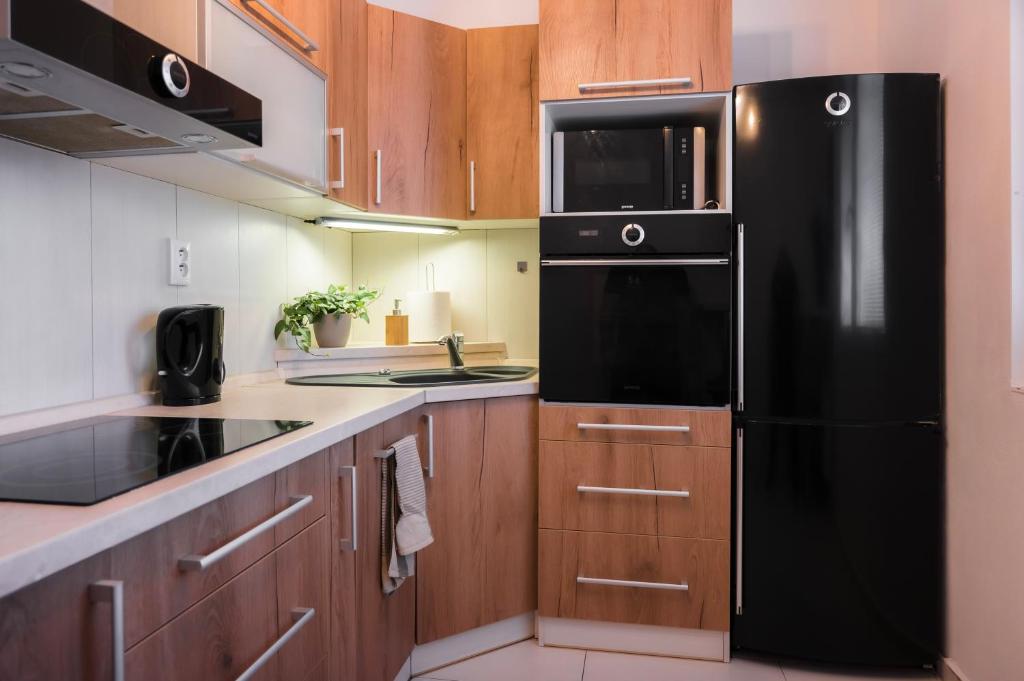 Kuchyň nebo kuchyňský kout v ubytování Apartmán Štefánik #1