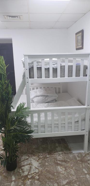 a white shelf in a room with a plant at Blessed Rest house in Dubai