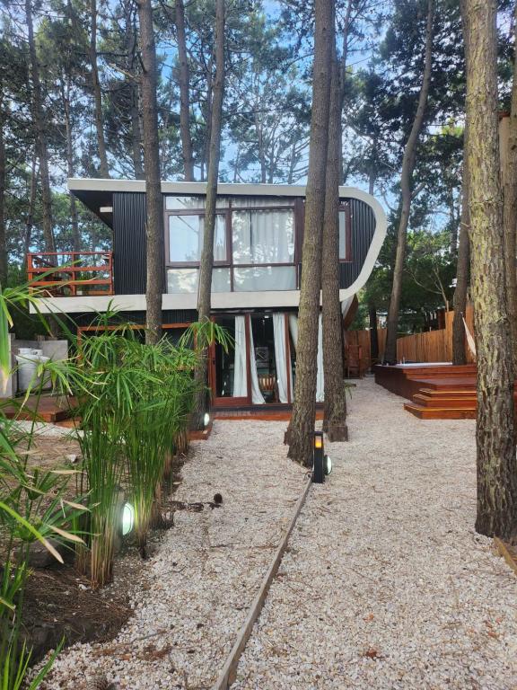 una casa en el bosque con árboles alrededor en Jack y Rouse suites de mar en Mar de las Pampas
