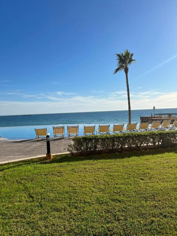 a row of benches next to the beach with a palm tree at Sonoran Sky Resort Vista a Playa Azul in Puerto Peñasco