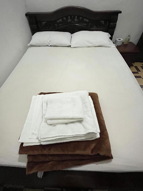 Postel nebo postele na pokoji v ubytování Casa Grande Hostal