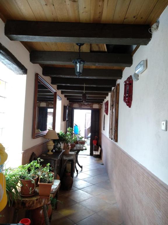 a hallway of a house with wooden ceilings and plants at Maria Santian in Arcones