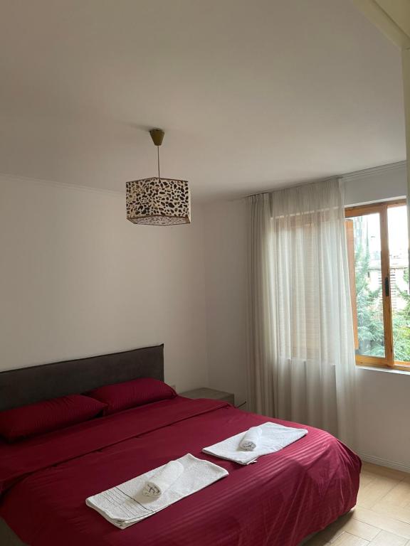 Cozy Apartment at Tirana's Center - Image 2
