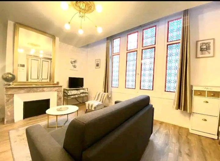 un salon avec un canapé et une cheminée dans l'établissement Le Golden magnifique studio Toulouse centre, à Toulouse