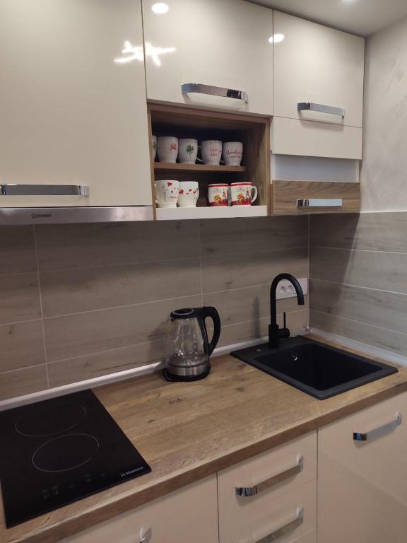 Una cocina o cocineta en Apartman Silvija Divčibare
