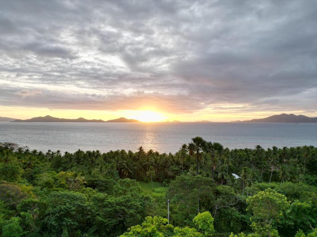 山林小屋附近的自然景觀