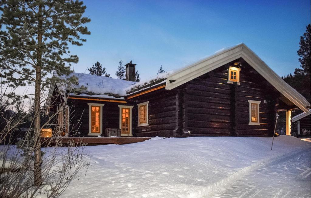 Awesome Home In Hemsedal With Kitchen om vinteren