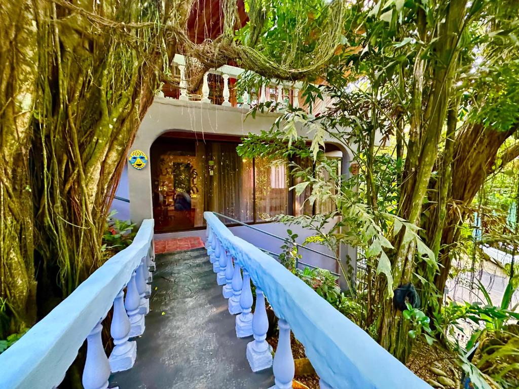 Zahrada ubytování Jungle Beach Hotel Manuel Antonio
