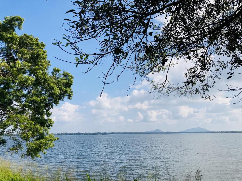 Příroda nedaleko penzionu – hostince