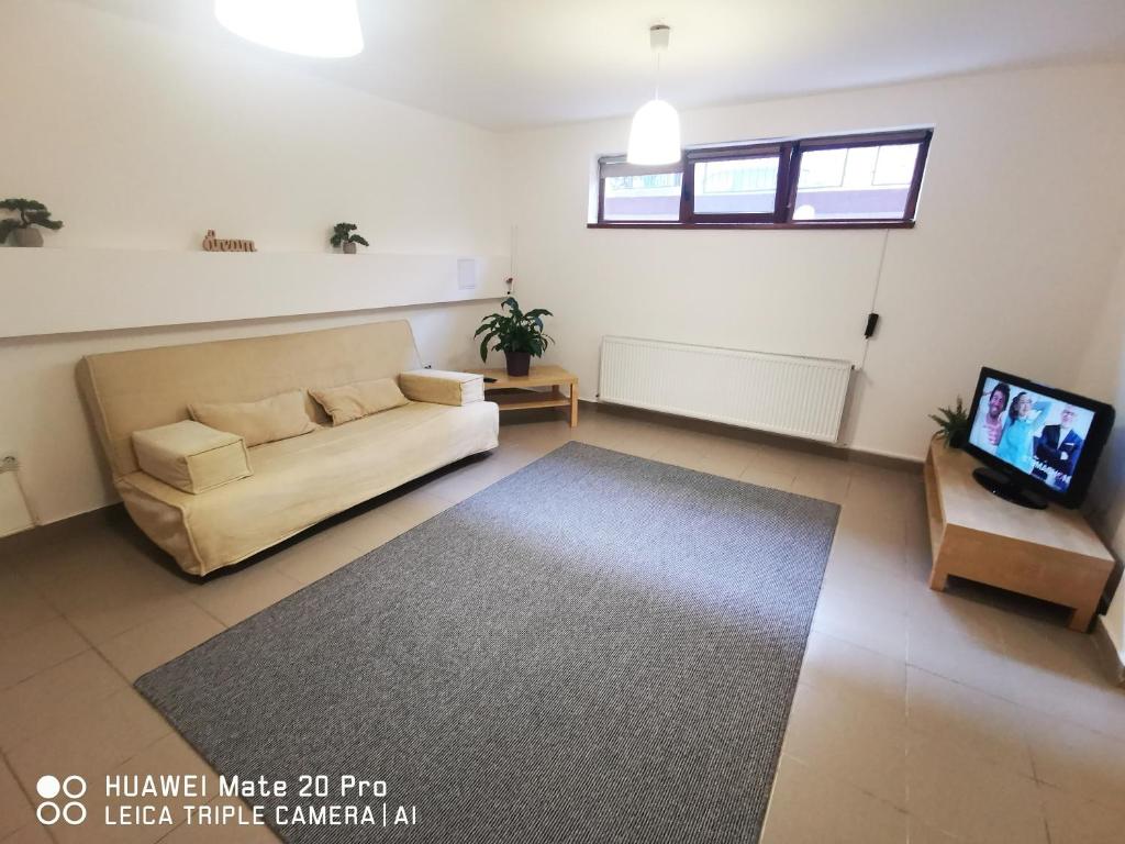 a living room with a couch and a tv at Cluj City Marasti Apartament 2 in Cluj-Napoca