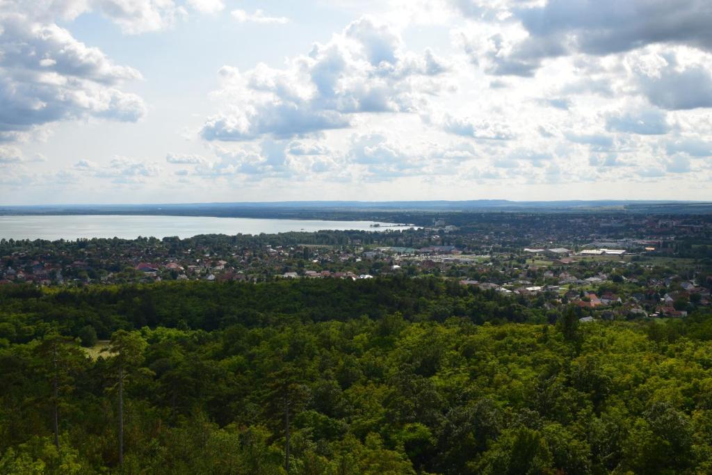 una vista aérea de una ciudad y un cuerpo de agua en Tom Schmid-Allone, en Sármellék