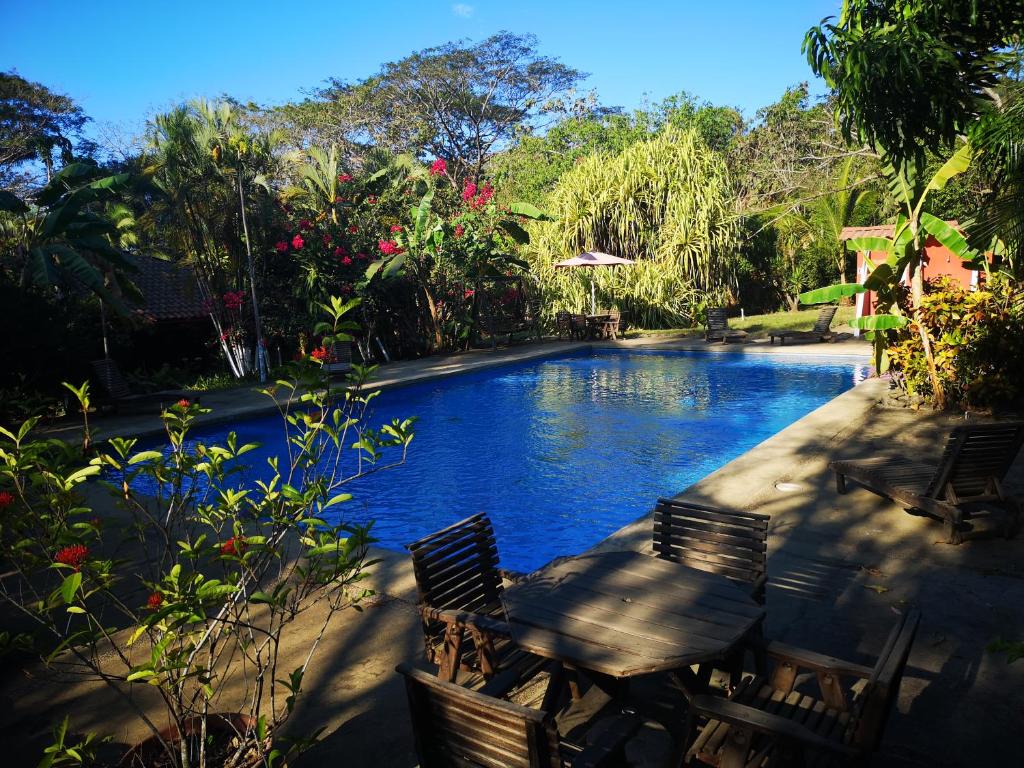 Piscina en o cerca de Lodge Barka Lounge