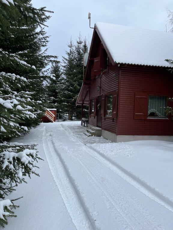 uma estrada coberta de neve ao lado de uma casa vermelha em Kispatak Vendégház em Ciumani