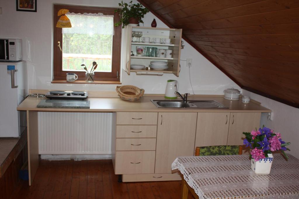 Kuchyň nebo kuchyňský kout v ubytování Apartment BENCI