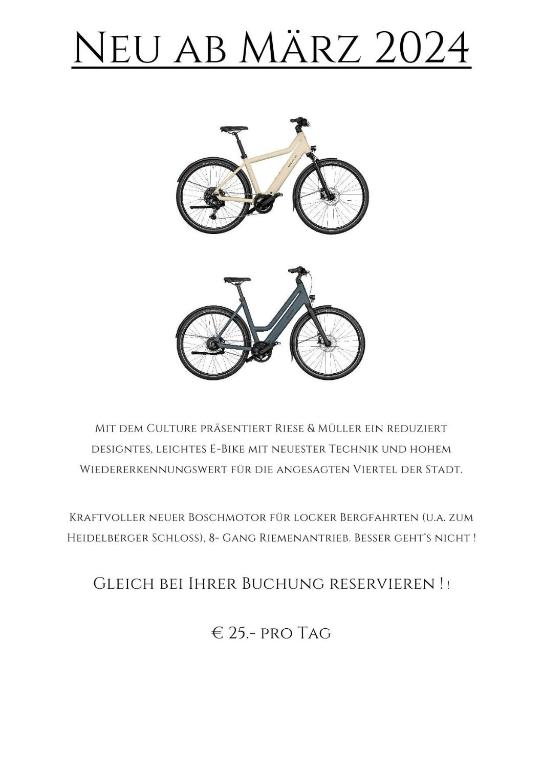 Hotel Zur Alten Brücke - Resim 19