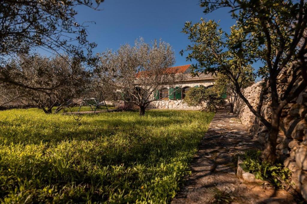 Zahrada ubytování Stone House Anja