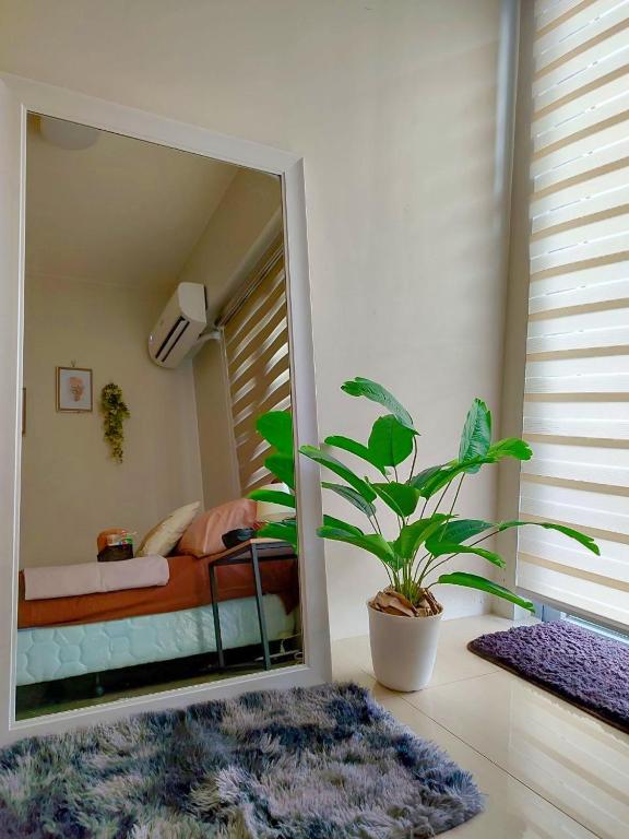 Fotografie z fotogalerie ubytování SMDC Grass Residences v destinaci Manila